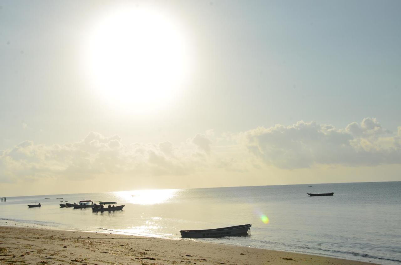 Lui Ushongo Beach House Pangani ภายนอก รูปภาพ